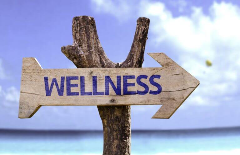 Exploring Holistic Wellness: Diet, Exercise, and Mindset Tips